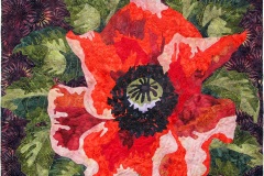 Papaver-Rouge